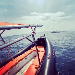a boat on a body of water