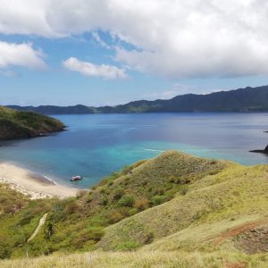 a close up of a hillside next to a body of water