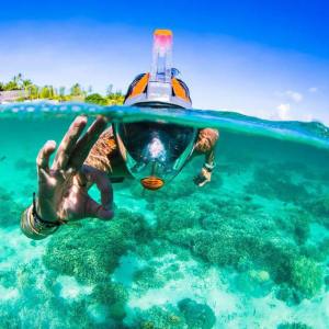 a person swimming in a body of water