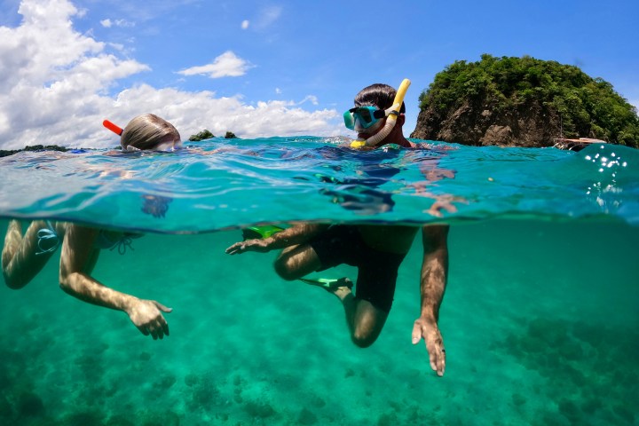 a bird swimming in water